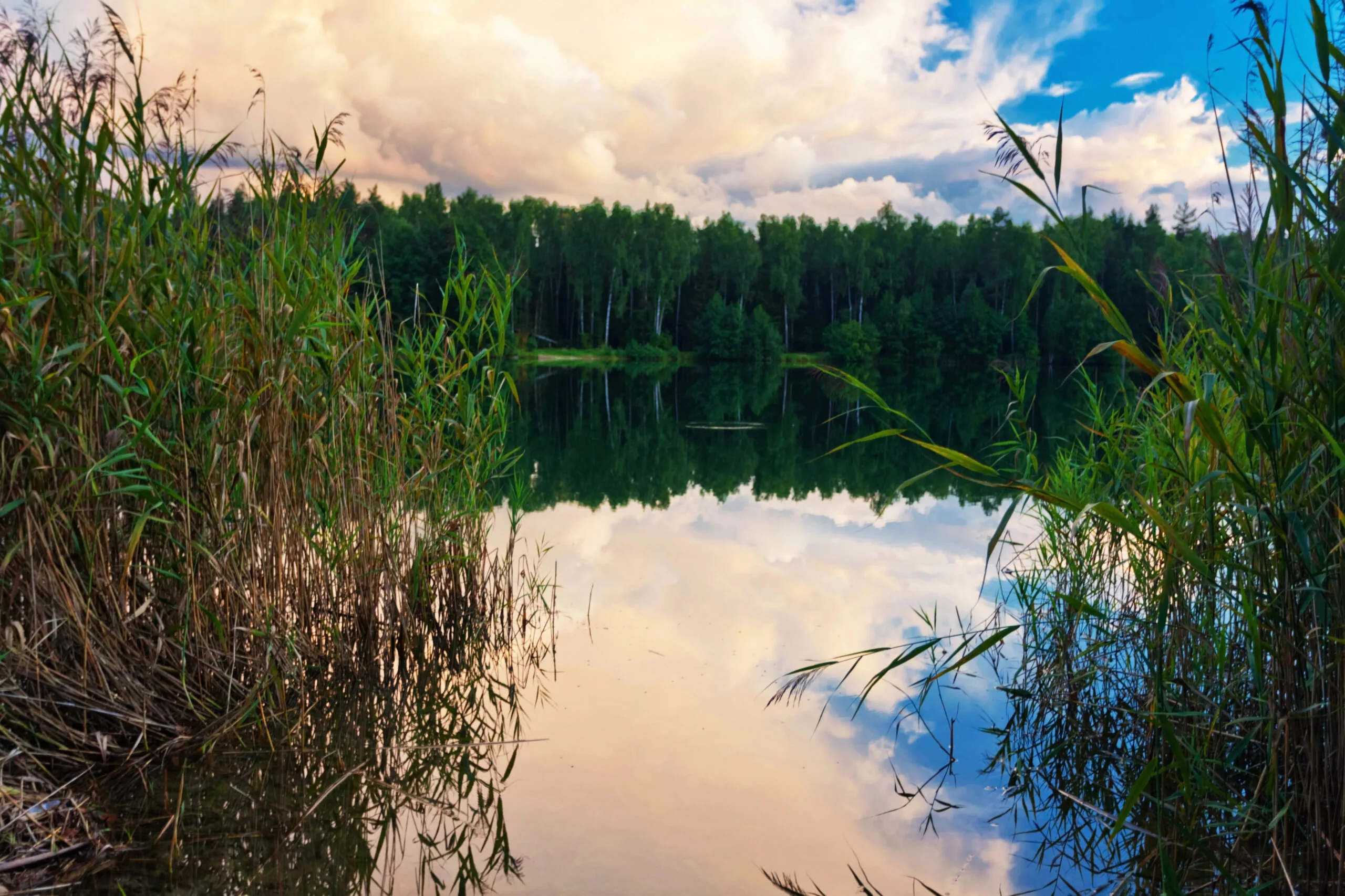 Widok na staw